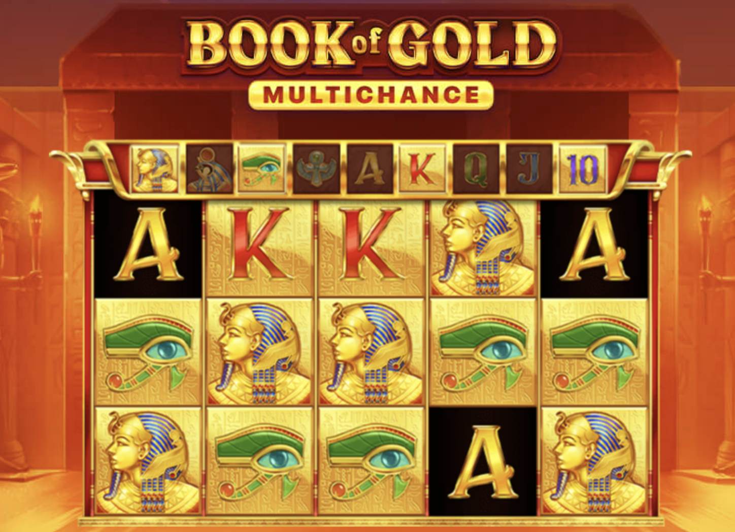 игровой процесс Book of Gold Multichance